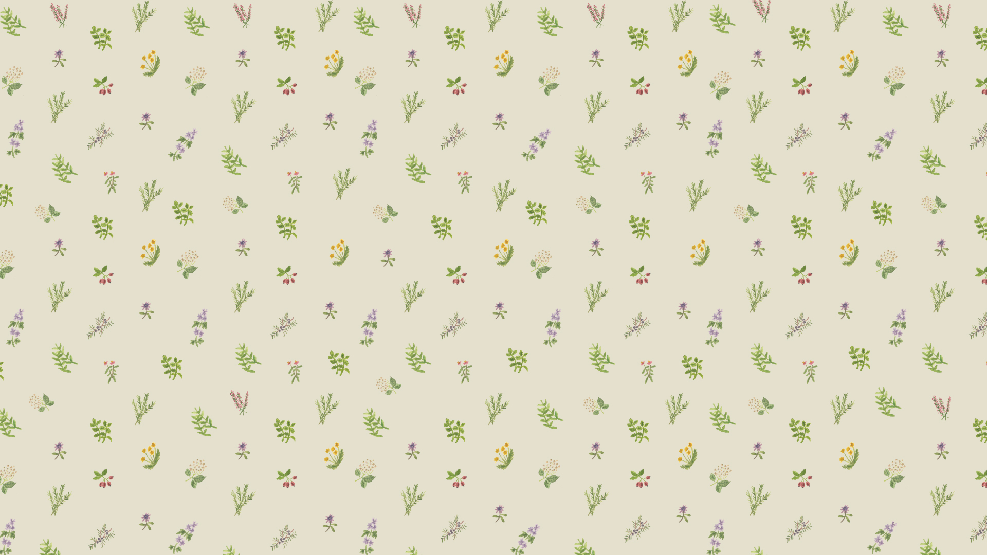 「まるいちパーソナルケア」11月開催のお知らせ